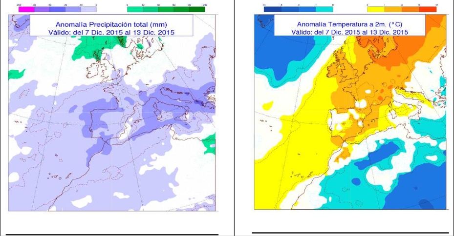 Mapas de tendencias de precipitación, izquierda, y temperaturas, derecha, de AEMET para el periodo 30 nov.-6 dic., arriba, y 7-13 dic., abajo, de 2015: mayormente tendencias secas y cálidas.