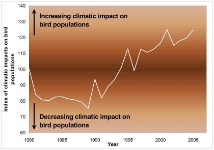 Figura 2.- Evolución del impacto climático en las poblaciones de aves en Europa durante el período 1980-2005. Fuente: EBCC.