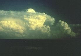 Nube convectiva real bien desarrollada con algunos de sus elementos característicos: torreón y yunque Nube convectiva real bien desarrollada con algunos de sus elementos característicos: torreón y yunque