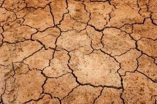 Marzo 2012, más cálido y seco de lo normal 