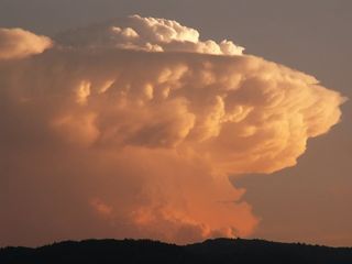 Fotos ganadoras del concurso del foro francés