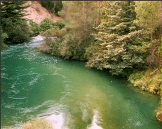 I+D+i en el sector del agua: Idiagua