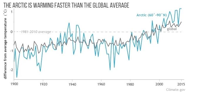 Las temperaturas anuales para el Ártico (60 ° N - 90 ° N) y el mundo desde 1900. Las temperaturas del Ártico (línea roja) son más variables de un año a otro que las temperaturas globales (vaivenes grandes por encima y debajo de la media). Pero a pesar de la variabilidad, hay una tendencia es clara: el Ártico se ha calentado más que el globo terrestre en su conjunto.