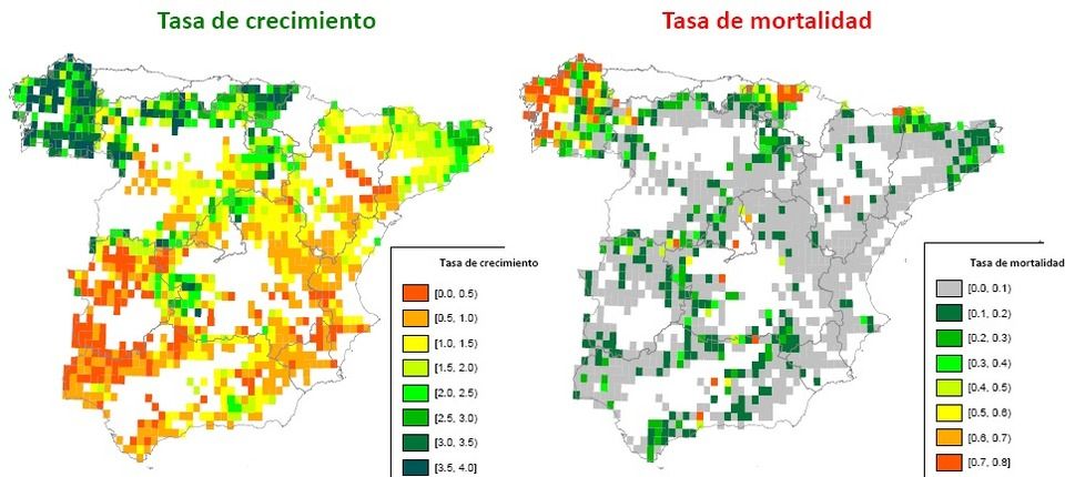 Distribución del crecimiento y de la mortalidad Distribución del crecimiento y de la mortalidad (t C / ha / any). Fuente: UAB.