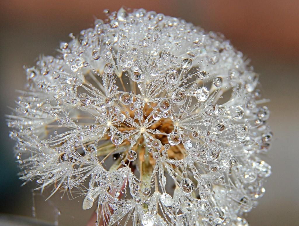 8º puesto: Joya natural