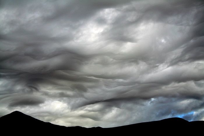 Foto 5.- Stratocumulus Undulatus