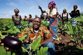 Los servicios meteorológicos y los agricultores en África Occidental