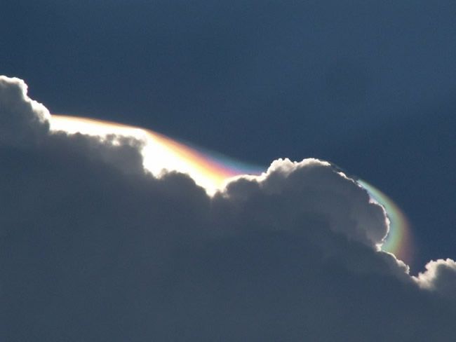 Foto 4.- Le Fryzeur Cuarto puesto, Vraiment bien vue Crack ce pileus irrisé