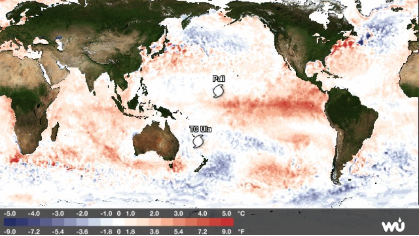 Temperaturas del agua del mar en la zona y anomalías térmicas. Nótese que Pali se encuentra en la parte occidental de la lengua de anomalías de El Niño en la zona ecuatorial. Fuente: CIMSS y WU.