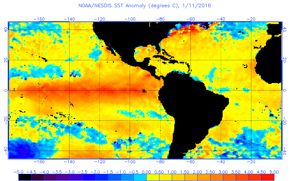 Anomalías de la SST para el 11 de enero de 2016.