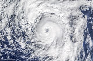 ¿Pudo Alex provenir indirectamente del Pacífico tropical?