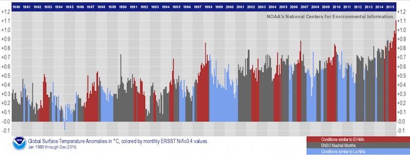 Salidas del promedio de la temperatura mensual global desde 1980 hasta 2015, con colores que muestran si cada mes se caracterizó por El Niño (rojo), La Niña (azul), o condiciones neutras. Crédito de la imagen: NASA / NOAA.