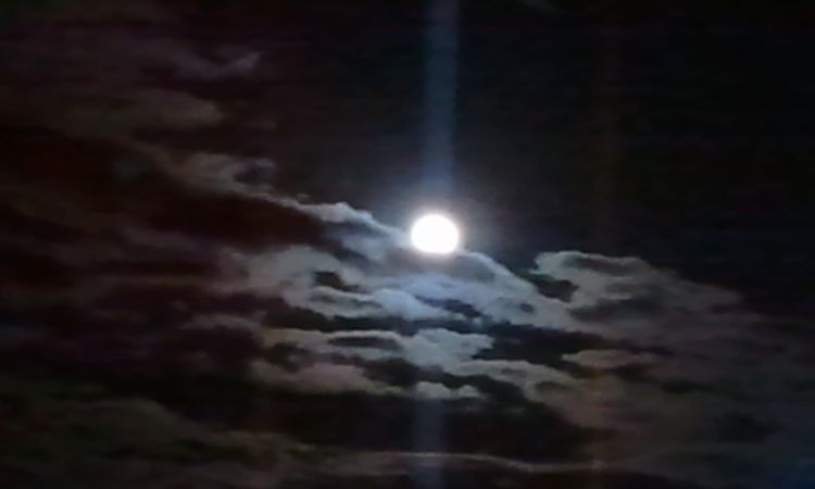 Rafer Rafer Todavía hoy pueden aprovechar los "lunáticos" que ayer se quedaron con las ganas de afotarla, sigue estando impresionante. Cutrefoto con la cámara del móvil que acabo de hacer.