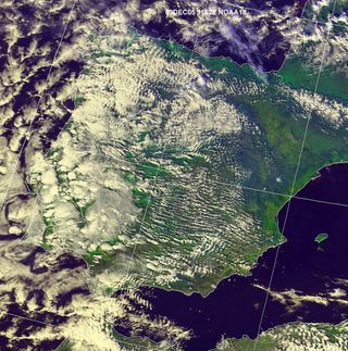 Imagen única: calles de cúmulos y estratocúmulos amplios sobre tierra