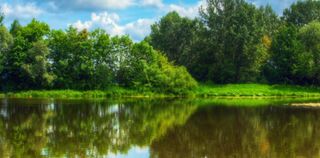 Detección de contaminantes orgánicos en aguas medioambientales