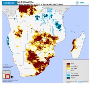 El Niño tendrá un efecto devastador en las cosechas y la seguridad alimentaria de África austral