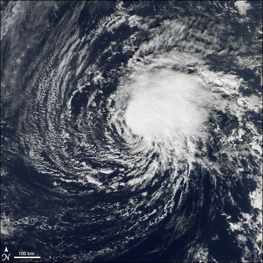 La última perturbación tropical en la cuenca del Atlántico norte del año 2005. La última perturbación tropical en la cuenca del Atlántico norte del año 2005.