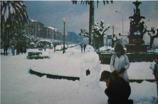Olas de frío y temporales de nieve en Cantabria en los últimos cien años. Parte VIII y final