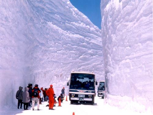 Vistas del cañon de nieve de Yuki-no-Otani Snow en los Alpes Japoneses en la Isla de Honshu. Los espesores más grandes son medidos en esta zona sobre la Tierra. Fotos de buzzhunt.com, de autor desconocido.