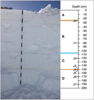 Bacterias del desierto del Sahara encontradas en los glaciares suizos
