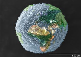 Fotciencia13 en Valencia