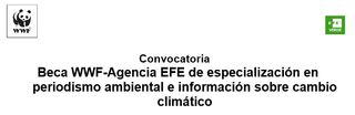 WWF y EFE convocan la I beca de periodismo en cambio climático