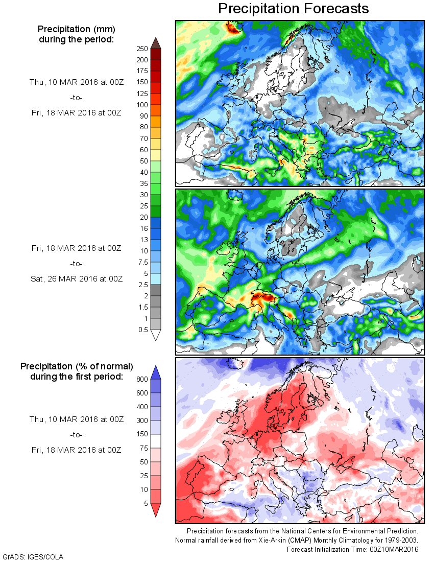 Mapas de precipitación prevista los periodos 10-18 marzo, arriba, 18-26 marzo, central, y porcentaje de precipitación de la primera semana, abajo.