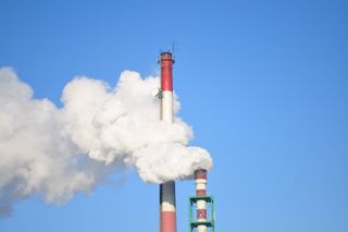 Los niveles elevados de CO2 aumentan el estrés sobre la vida marina