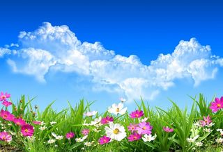 Primavera 2016: una avance desde AEMET
