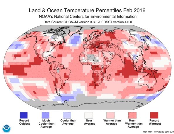 Anomalía de la temperatura del mes de febrero de 2016 respecto a la media base, dando lugar al más caluroso febrero en el mundo desde el mantenimiento de los registros que comenzó en 1880. Imagen de NOAA/National Centers for Environmental Information (NCEI).