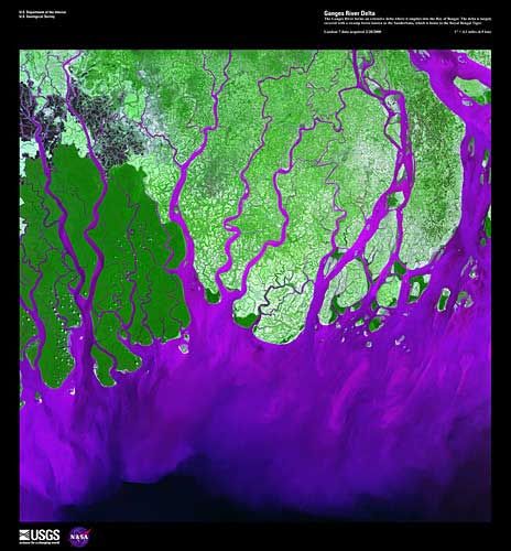 El delta del río Ganges, fotografiado el 01 de febrero de 2000 por el Landsat 7. El río Ganges forma un extenso delta, que desemboca en el Golfo de Bengala. El delta está cubierto en gran medida con bosques de pantano, conocido como los Sunderbans, que es hogar del Tigre real de Bengala. Crédito: USGS/EROS
