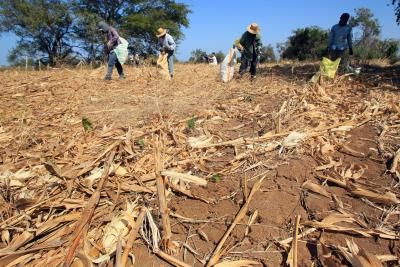 Figura 2.- La acción combinada de la variabilidad natural del clima y la emisión a la atmosfera de gases y aerosoles es lo que explica que, por ejemplo, tengamos otoños inusualmente secos e inviernos anormalmente húmedos. Crédito: EFE / Alejandro Bolívar