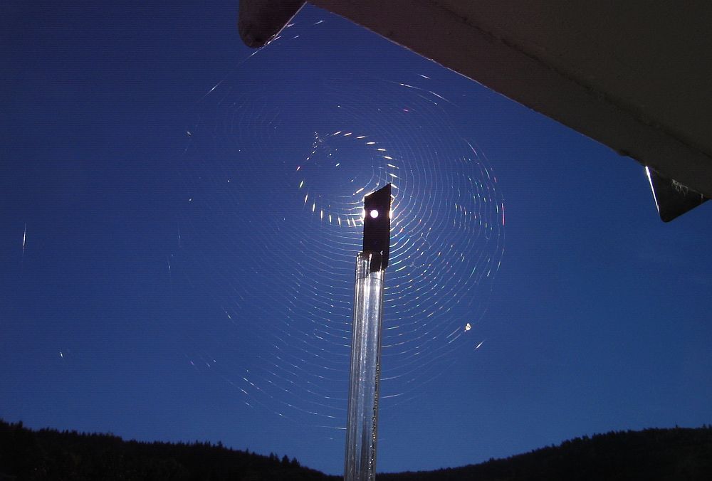 Halo de una tela de araña Halo de una tela de araña