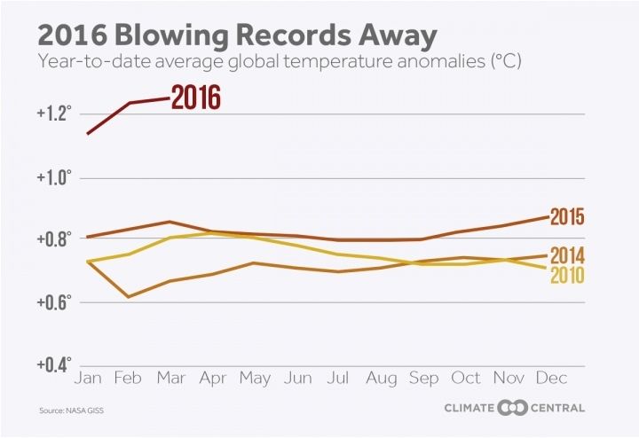 Evolución de la anomalía de la temperatura global por meses y algunos años cálidos. Crédito: Climate Central