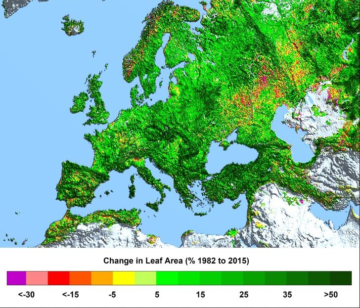 Mapa 2: Mapa de Europa del cambio de la superficie foliar en porcentaje, des de 1982 a 2015. (Autor: Ranga B. Myneni, Universidad de Boston)