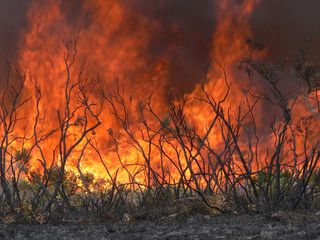 Los científicos proponen medidas para evaluar los daños tras los incendios