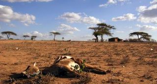 El shock del sistema de alimentos: la mayor amenaza del cambio climático a la civilización