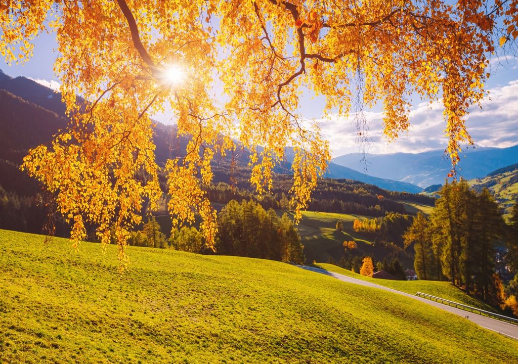 Goldener Herbst Goldener Herbst