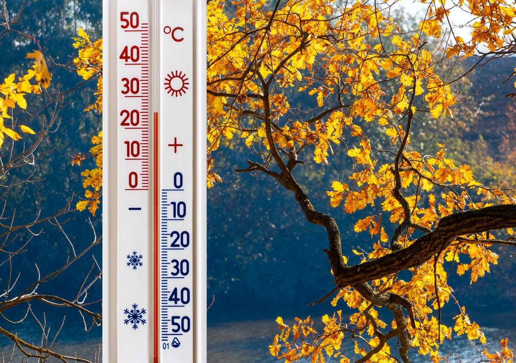 oktober, deutschland, golden