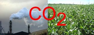 La agricultura puede ayudar a combatir eficazmente el cambio climático