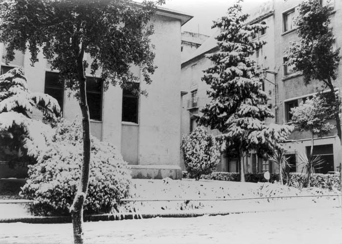 La antigua biblioteca de Figueres del carrer Ample nevada. Colección particular de Josep M. Bernils Mach.