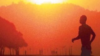 Impacto de las temperaturas extremas en la salud: Evolución temporal y grupos de riesgo