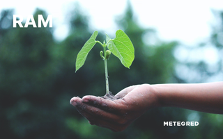 Las turbinas eólicas pueden proporcionar toda la energía necesaria en el mundo