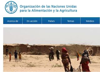 El Niño, la Niña y la FAO
