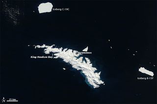 Imagen única: icebergs cerca de Georgia del Sur