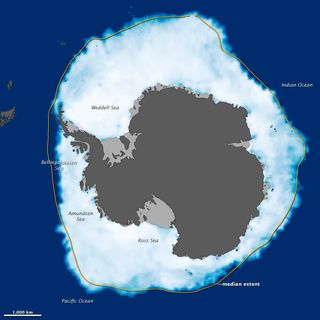El hielo marino de la Antártida alcanza su máxima extensión