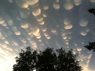 Mammatus