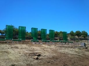 Agua de Niebla: Exprimir el cielo en una botella