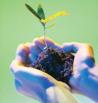 Quince propuestas para cuidar el medioambiente y mejorar nuestra economía