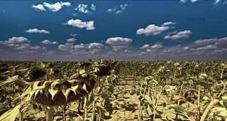 Un suelo seco genera más tormentas